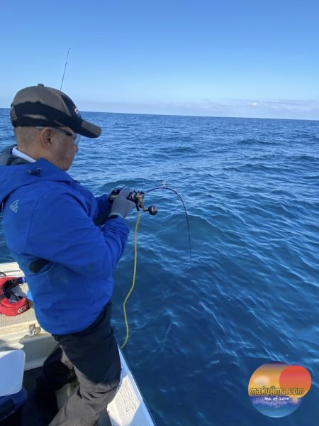 幕島丸 釣果