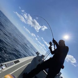 幕島丸 釣果