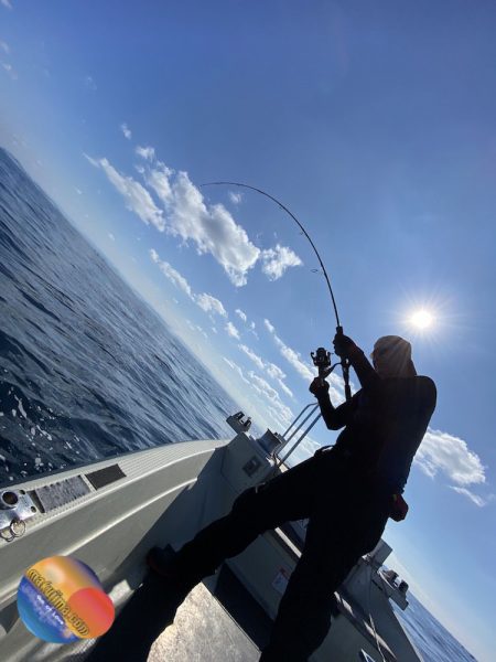 幕島丸 釣果