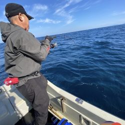 幕島丸 釣果