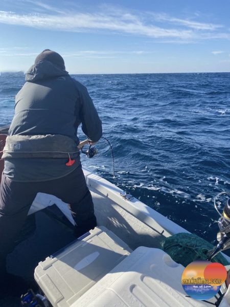 幕島丸 釣果