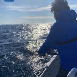 幕島丸 釣果