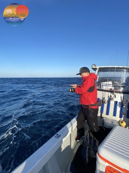 幕島丸 釣果