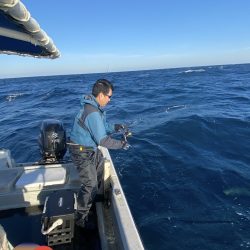 幕島丸 釣果