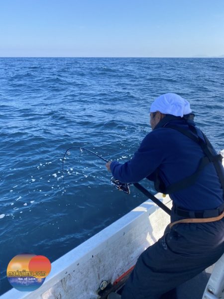 幕島丸 釣果