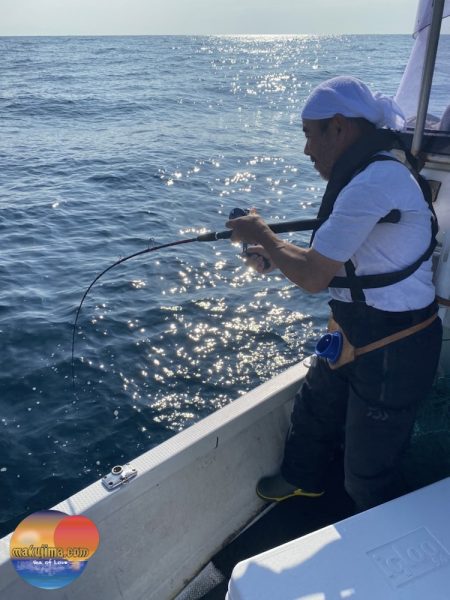 幕島丸 釣果