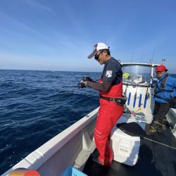 幕島丸 釣果