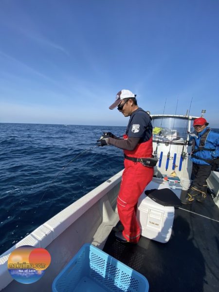 幕島丸 釣果