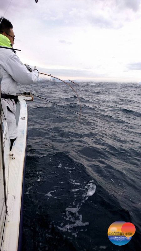 幕島丸 釣果