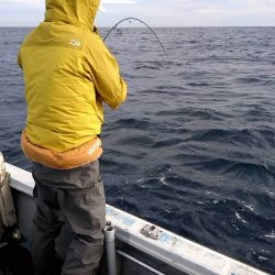 幕島丸 釣果