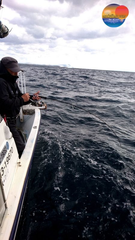 幕島丸 釣果