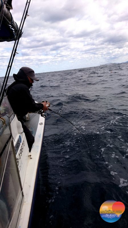 幕島丸 釣果