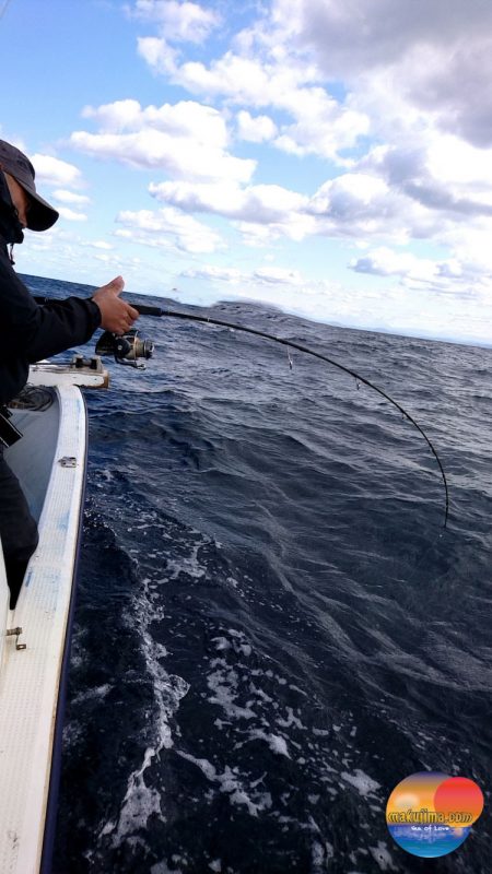 幕島丸 釣果