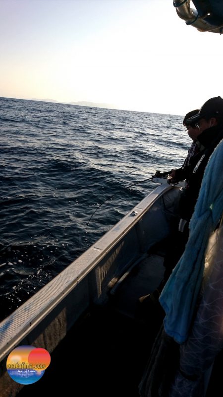 幕島丸 釣果