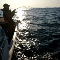 幕島丸 釣果