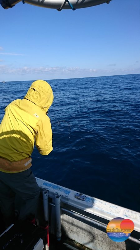幕島丸 釣果