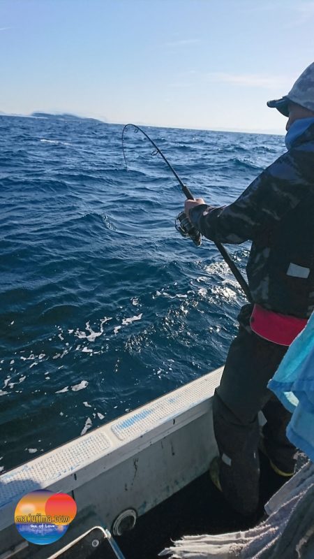 幕島丸 釣果