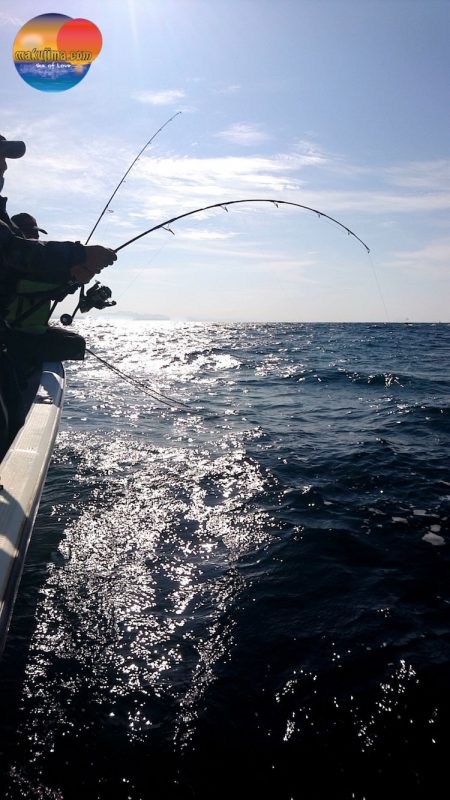 幕島丸 釣果