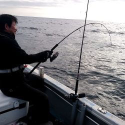 幕島丸 釣果