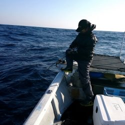 幕島丸 釣果
