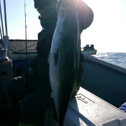 幕島丸 釣果