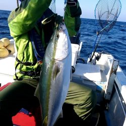 幕島丸 釣果
