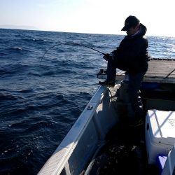 幕島丸 釣果