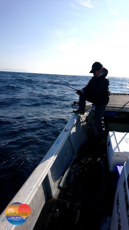幕島丸 釣果
