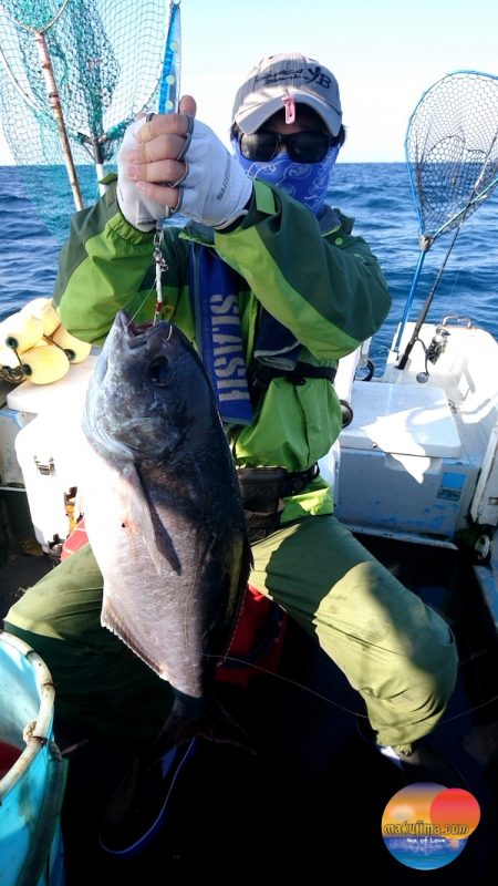 幕島丸 釣果
