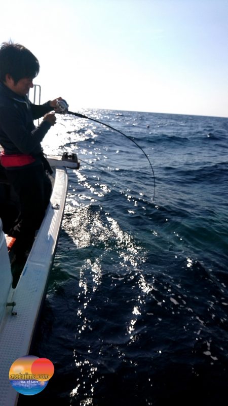 幕島丸 釣果
