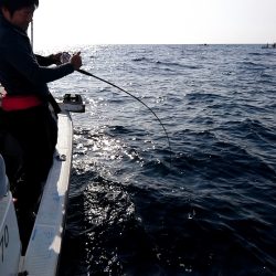 幕島丸 釣果