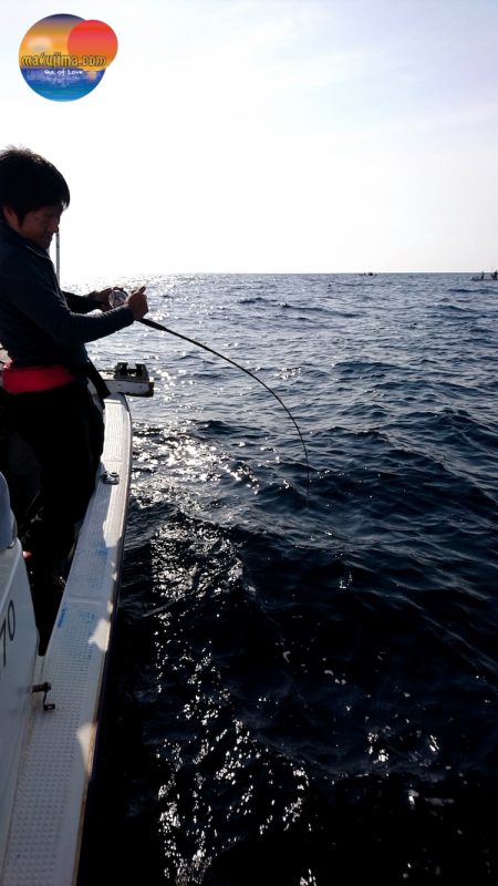 幕島丸 釣果