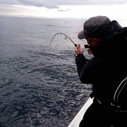 幕島丸 釣果