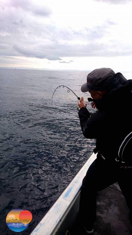 幕島丸 釣果