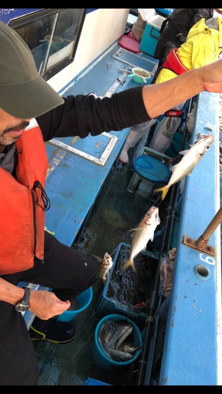 ヤザワ渡船 釣果