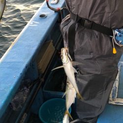 ヤザワ渡船 釣果