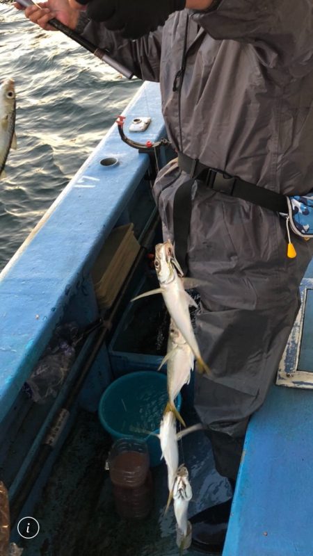 ヤザワ渡船 釣果