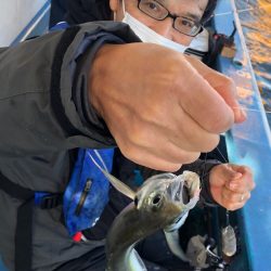 ヤザワ渡船 釣果