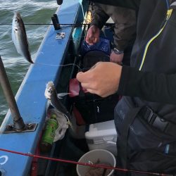 ヤザワ渡船 釣果