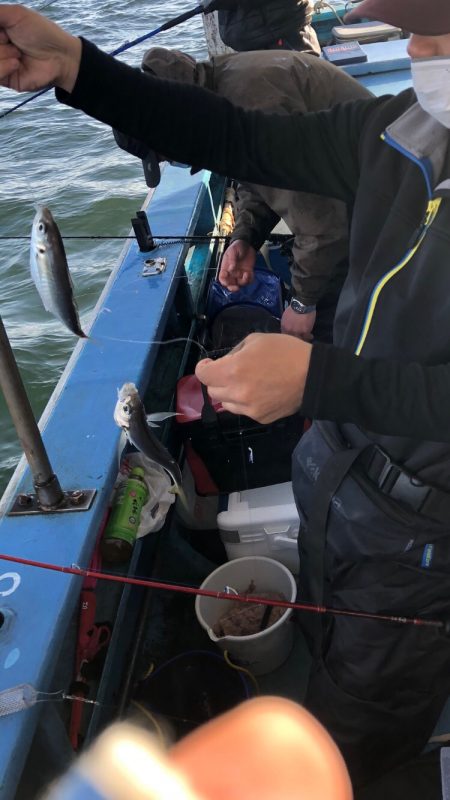 ヤザワ渡船 釣果