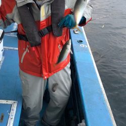 ヤザワ渡船 釣果