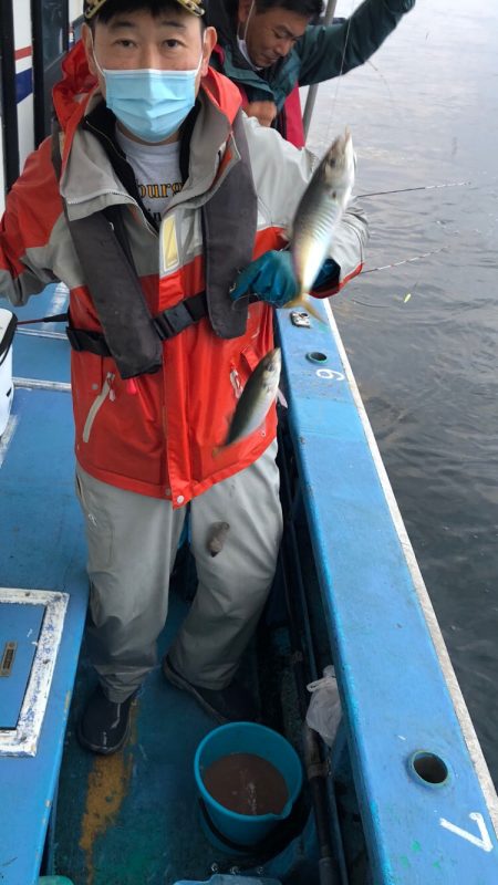 ヤザワ渡船 釣果