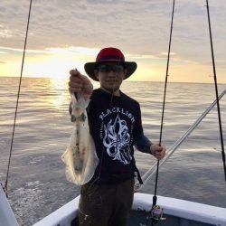 South Current 釣果