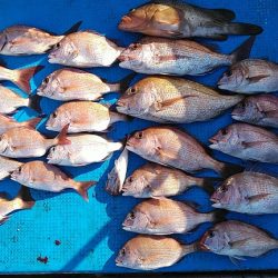 フィッシングガイド りょう 釣果