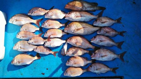 フィッシングガイド りょう 釣果