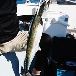 遊漁船 家入 釣果