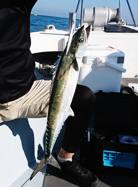 遊漁船 家入 釣果