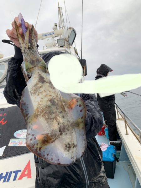 きずなまりん 釣果