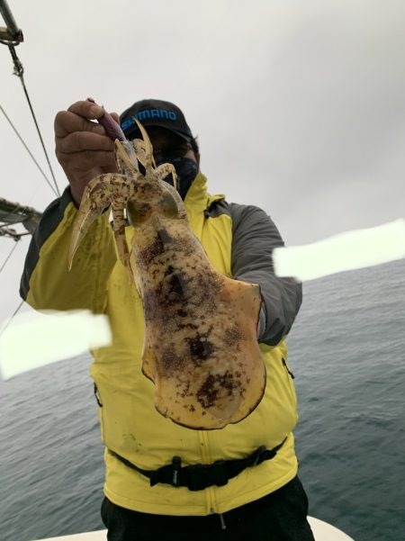 きずなまりん 釣果
