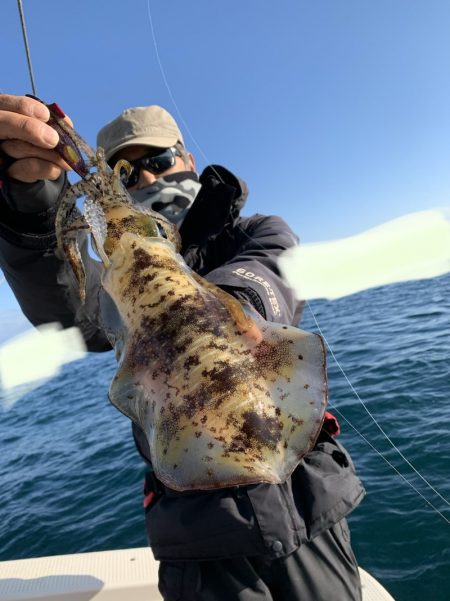 きずなまりん 釣果